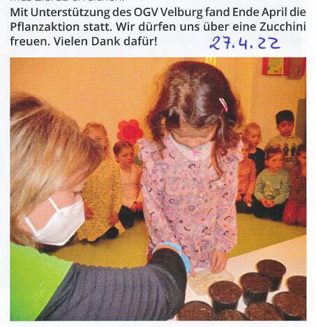 Kindergarten_Pflanzaktion_2022