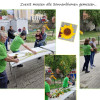 Sonnenblumenwettbewerb 2026