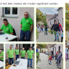 Sonnenblumenwettbewerb 2026