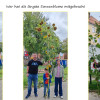 Sonnenblumenwettbewerb 2026