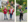 Sonnenblumenwettbewerb 2026