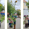 Sonnenblumenwettbewerb 2026